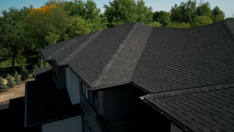 Best Solar Panel Roofing Installation  in Aldine, TX